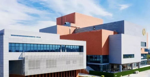 2022联考你要考多少分才能参加校考 各大艺术院校 校考初选线