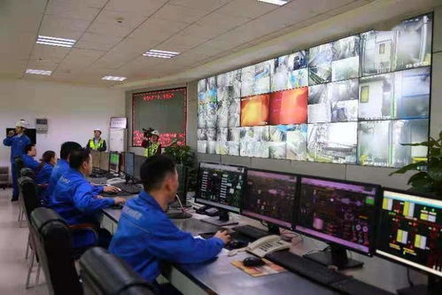 科技赋能,山旮旯崛起 绿工厂