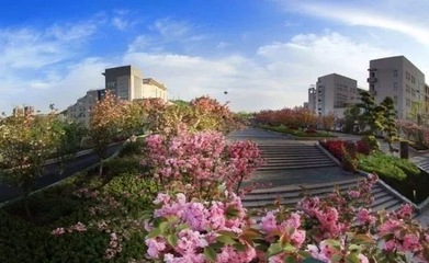 湖北一地级市2所院校合并 原校区划拨给一所小学