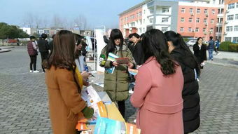 合肥地区电大教育 专业选择与比较分析